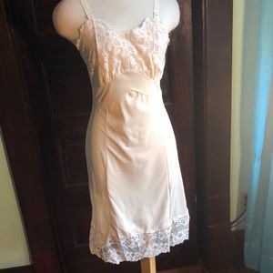 Sliperfection Vintage slip/lace bodice/lace hem/ sz 34 /Shadow panel front nude